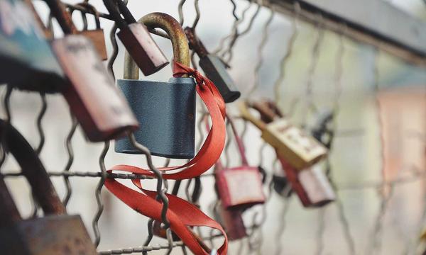 LG 回应其显示器连 Win11 推广 McAfee 事件：不自动安装、不收集隐私信息